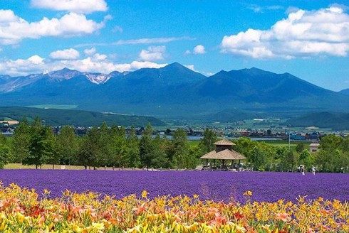 去日本旅游有哪些发现,去日本必须知道的10个细节