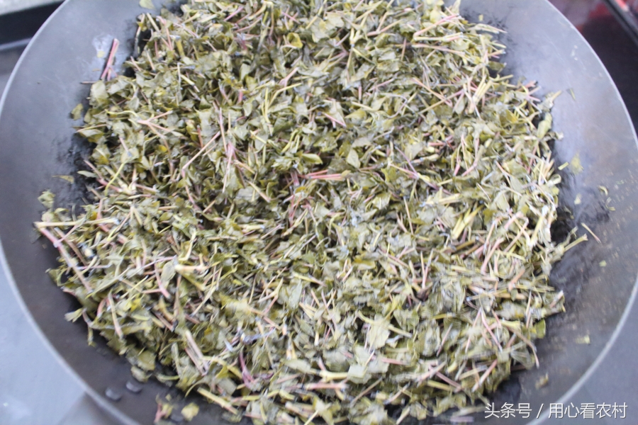 深山好茶古法制作,野生高山茶如何制作的好喝