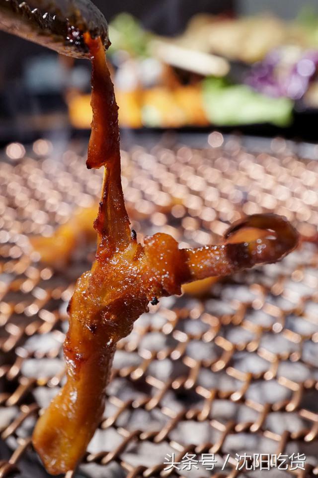 真正的肉食主义,肉食主义都有哪些