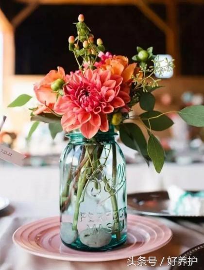 插花干货,值得收藏的插花