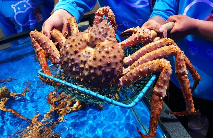 盒马鲜生西安海鲜,西安盒马鲜生哪个好吃