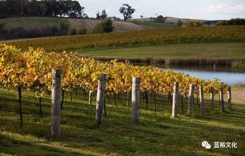 澳大利亚中国新兴产业,澳大利亚国家吸引移民的原因