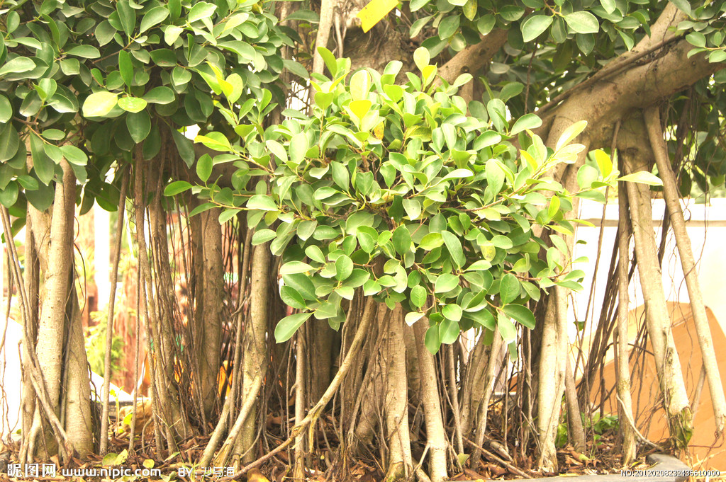 美丽中国福建平潭,美丽中国福州英语