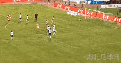 卓尔主场新华路,新华路体育场武汉卓尔