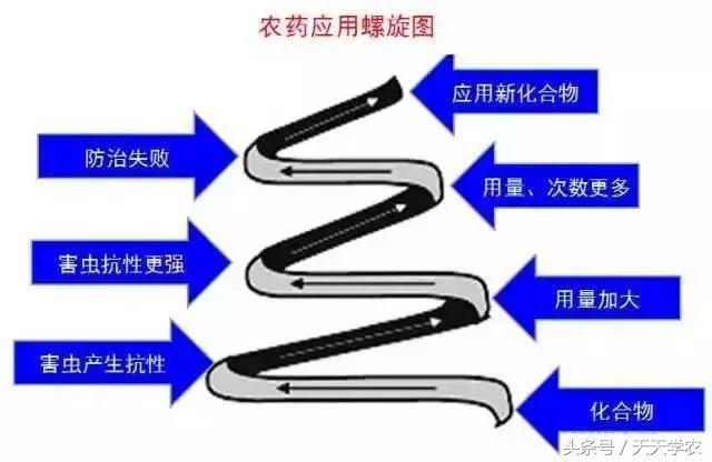 柑橘锈壁虱是螨虫红蜘蛛造成的吗,柑橘红蜘蛛爆发时期