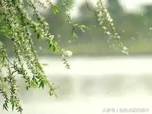 宁静致远散文800字,宁静安详经典散文