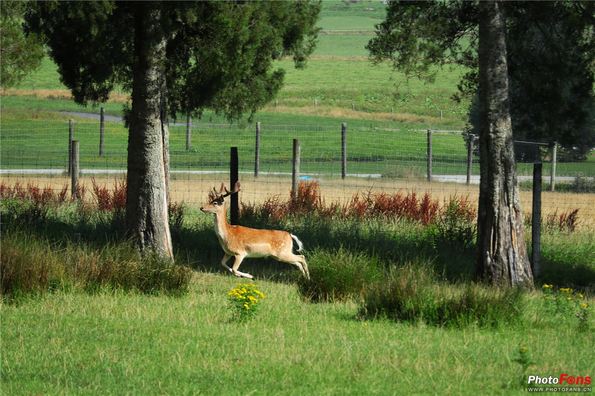 忘却时间的旅行佳能微单EOSM100轻摄新西兰