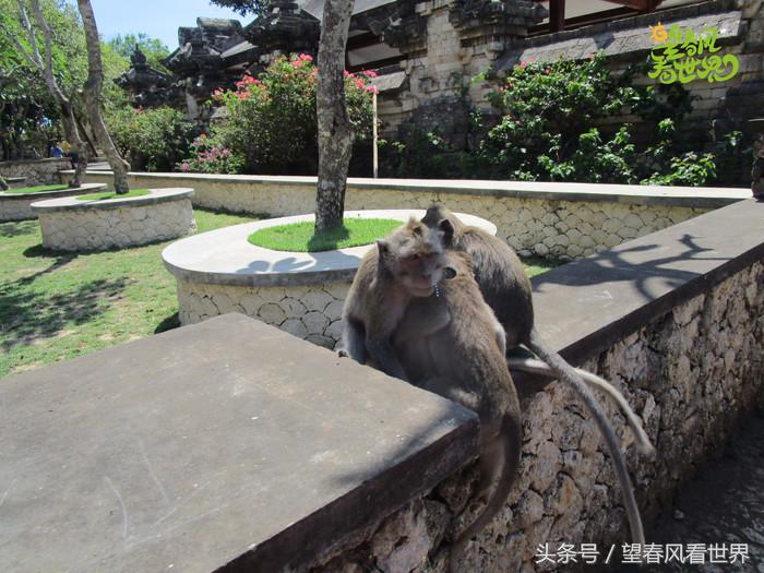 手绘旅行,东山岛旅游手绘游记