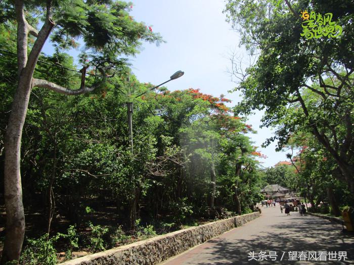 手绘旅行,东山岛旅游手绘游记