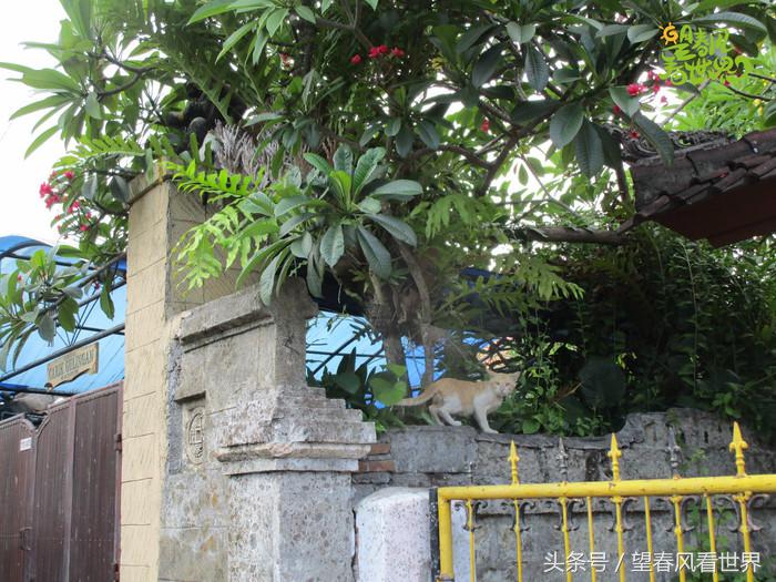 手绘旅行,东山岛旅游手绘游记