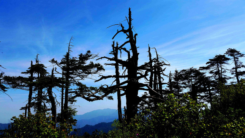 天华山-秦岭梁，又一条风景秀美的一日劲走线路