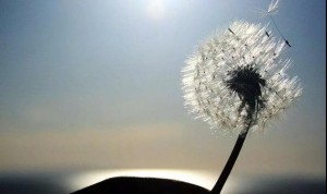 gameover，一首《凉凉》送给这近440家厦门网贷机构