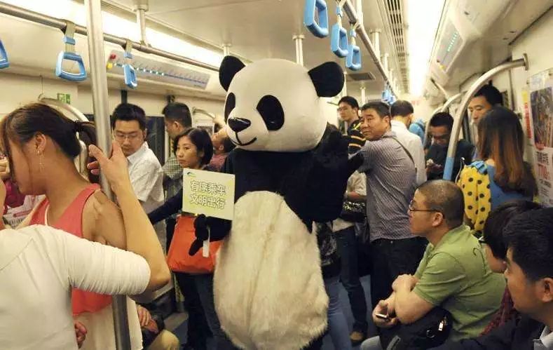 10列新车年内“加盟”成灌快铁！有望刷“天府通”！一起看看轨道上的大成都！