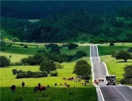 重庆网红vs其他城市网红,重庆成网红