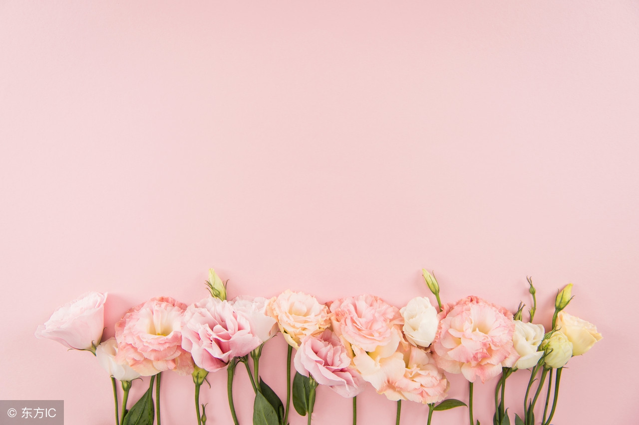 母亲节的礼物阅读练习,母亲节礼物书单