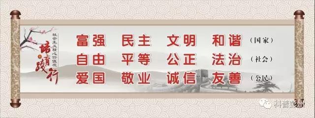 足球球网怎么装,足球球网演变史