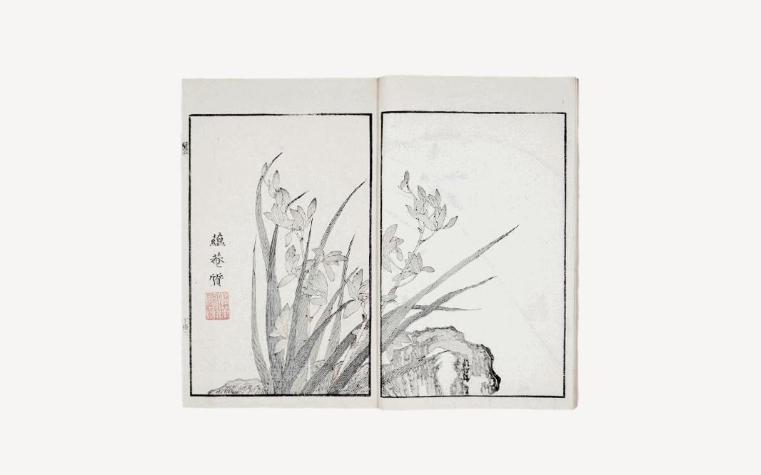 美女出浴，遭两个秃顶老头偷看！