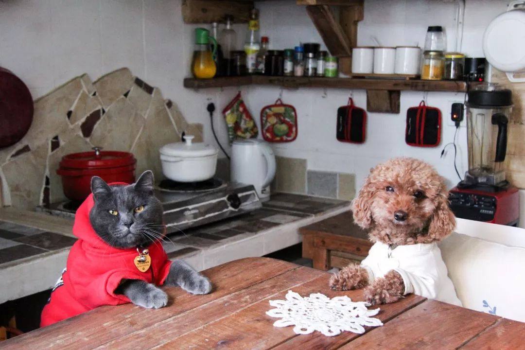 出租屋改造捡破烂,靠捡废品装修