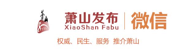 萧山年检,萧山市区的民办学校