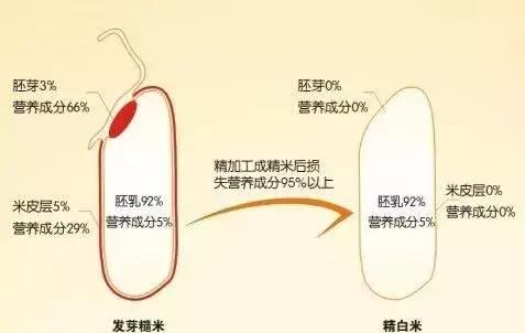 好吃的糙米饭推荐有味道,最好吃的糙米饭