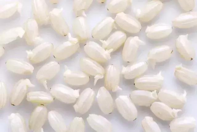 好吃的糙米饭推荐有味道,最好吃的糙米饭