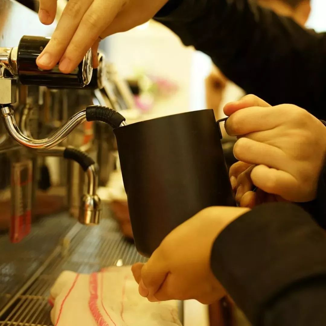 心疼！上海“孤独咖啡店”突然停业，特殊“服务员”还能继续上班吗？