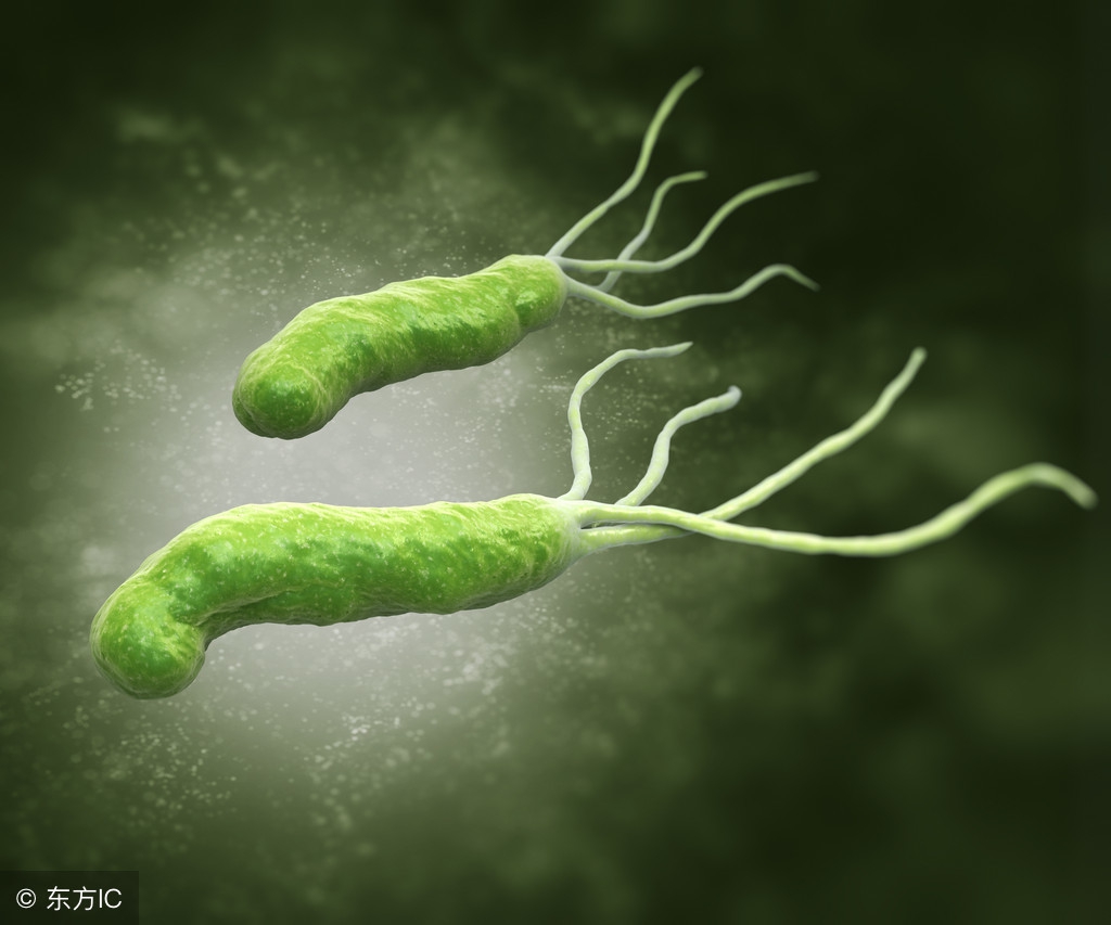 中药能治疗幽门螺旋杆菌吗,中医能治疗幽门螺旋杆菌吗