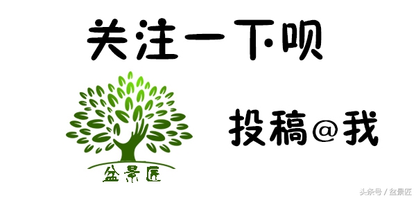 剩下的这些药，喂给花草，百毒不侵