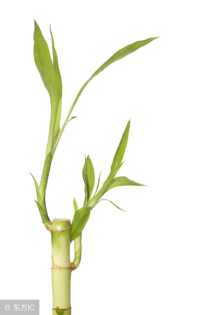 期货交易之道及技巧书籍,期货交易之道在于人性