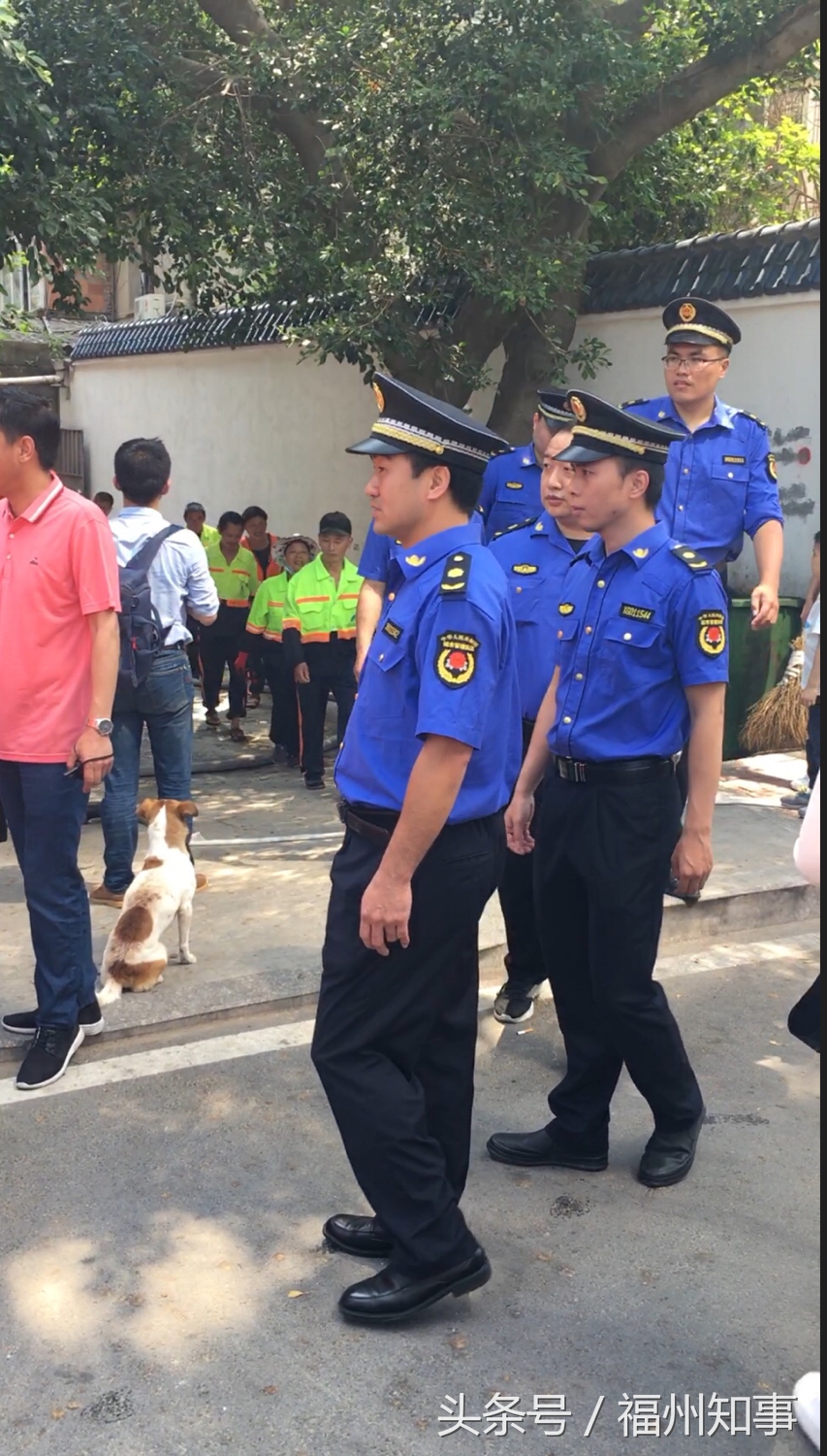 上海黄浦江防汛应急演练,上海防汛抢险通道