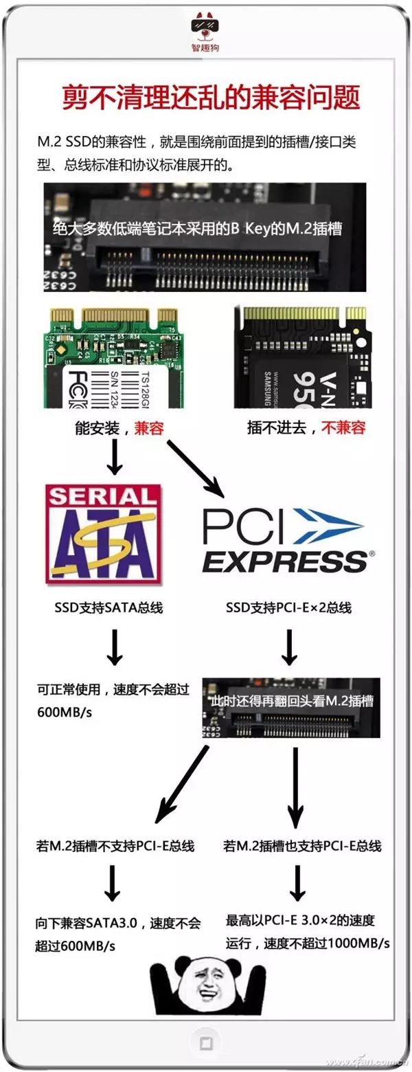 铅锤哥：固态硬盘的M.2、SATA、PCI-E、NVME究竟说的是什么？