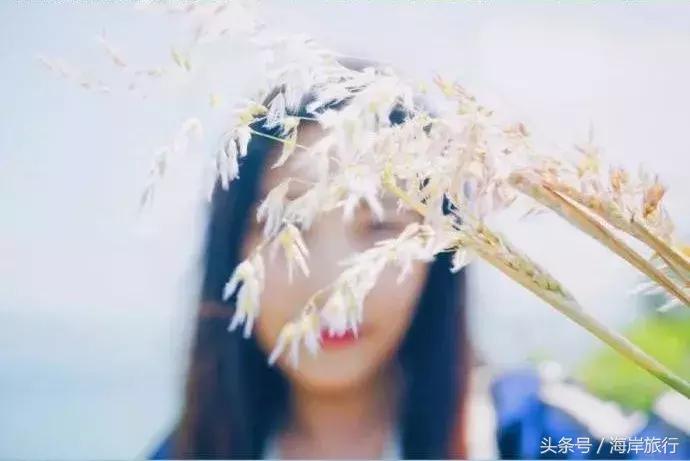 厦门最好的火山岛,厦门海岛火山岛