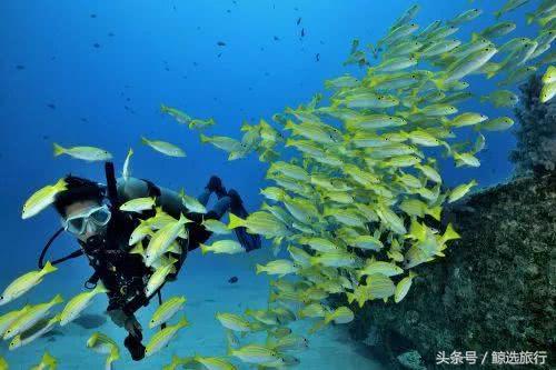 毛里求斯的攻略,毛里求斯玩全攻略的人多吗