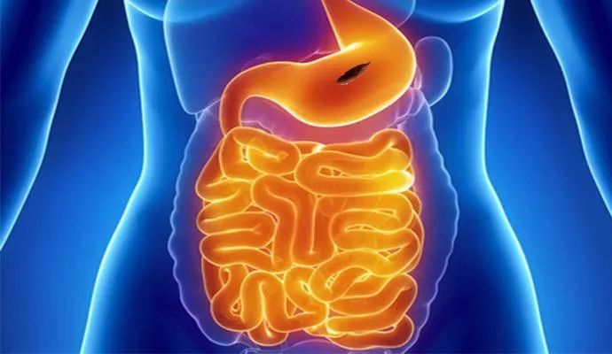 一个医生吃了枣核,一医生吞枣核