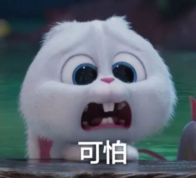 滴滴顺风车订单已取消,滴滴官方回应乘客取消订单