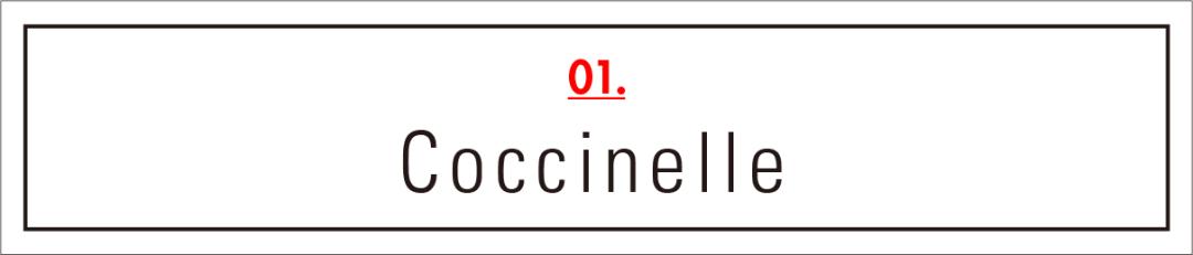 Baby钟楚曦欧阳娜娜女明星们都对它爱不释手