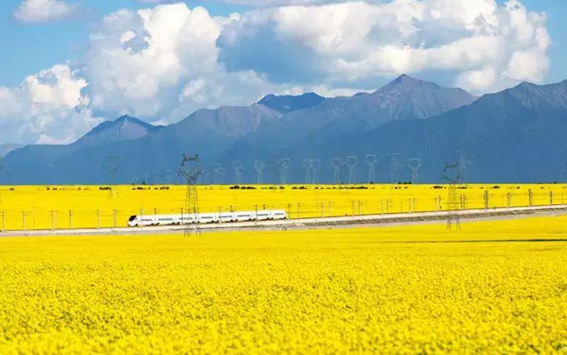 我们为什么要去大西北,为什么要去大西北旅行的理由是啥