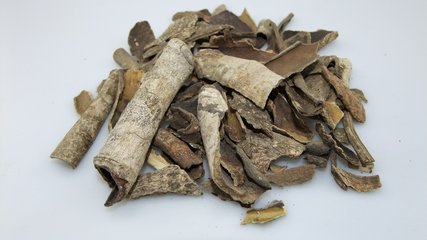 100个好听到爆的中药名,补肾常用中药100名和图片