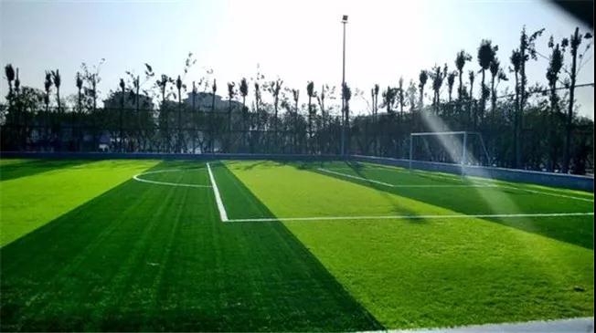 春天到了该健身了,露肉的季节到了减肥