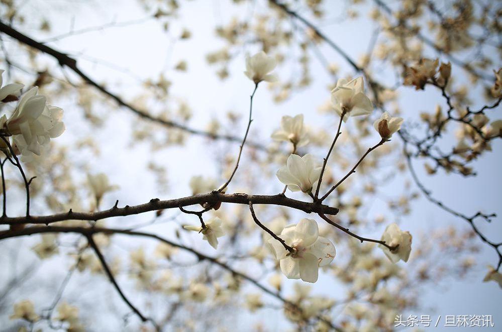 上海人均身价是多少,上海人均身价