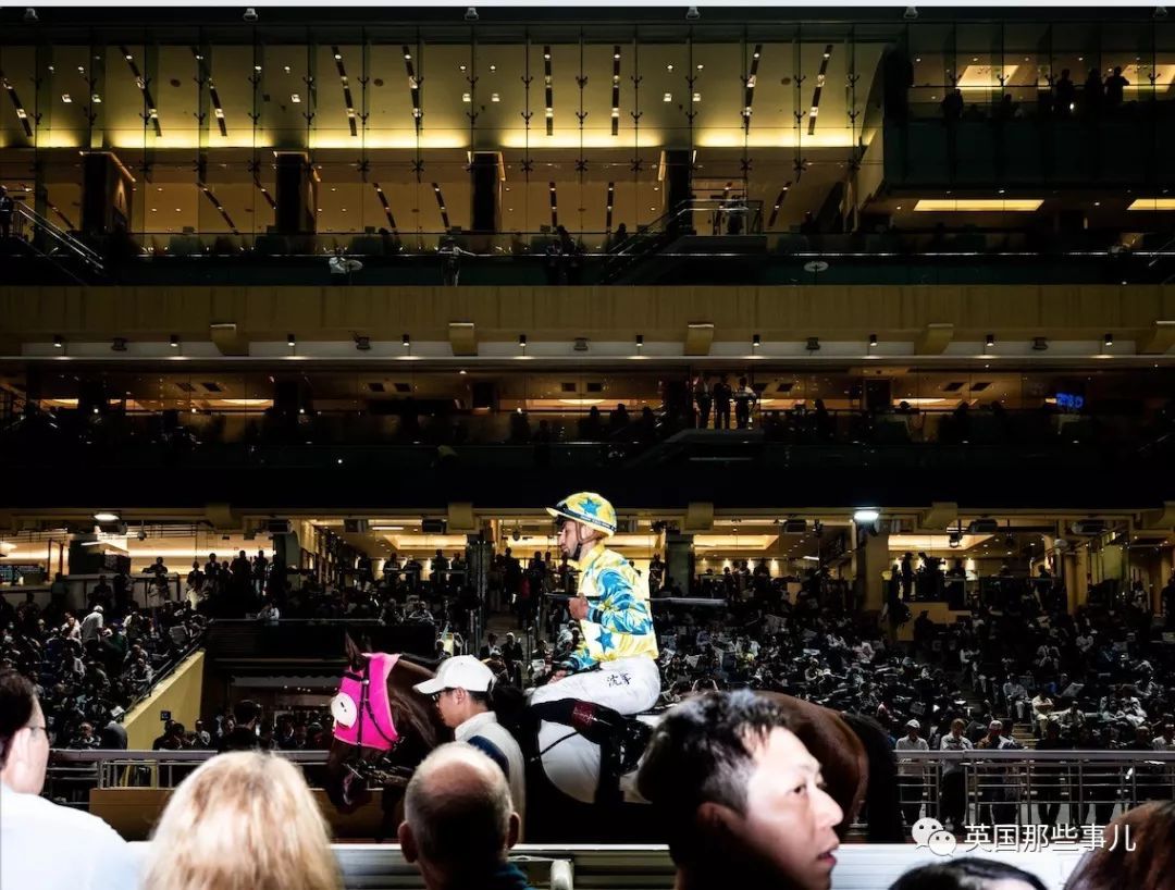 靠赌马赚了10亿美金,这个人最近终于浮出了水面!