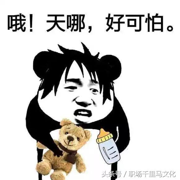 成人社交礼仪常识大全,成年人必须懂的社交规则