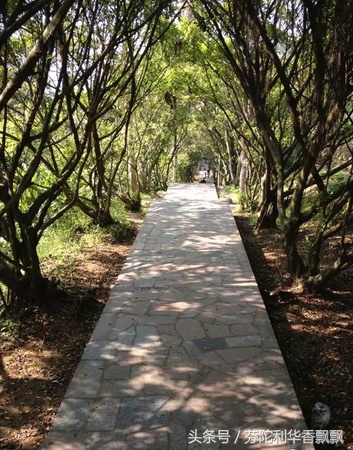 百病生于气，止于音（健康方略，闲时看看）