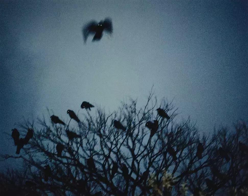 100张摄影作品灵魂舞者,60幅摄影作品一览