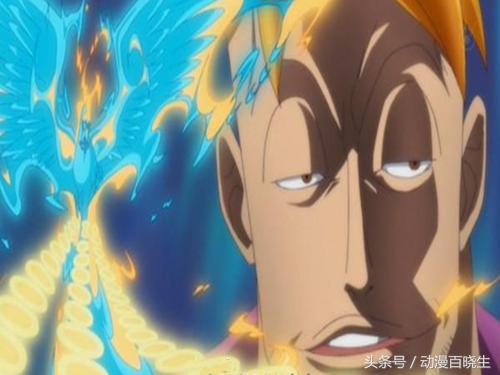 海贼王恶魔果实图鉴书本,海贼王恶魔果实在现实生活中出现