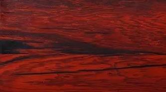 大红酸枝怎样的好,最好的大红酸枝是什么