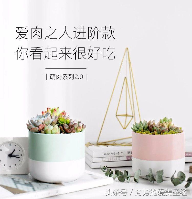 520送给男朋友的奇怪礼物,520走心的礼物清单