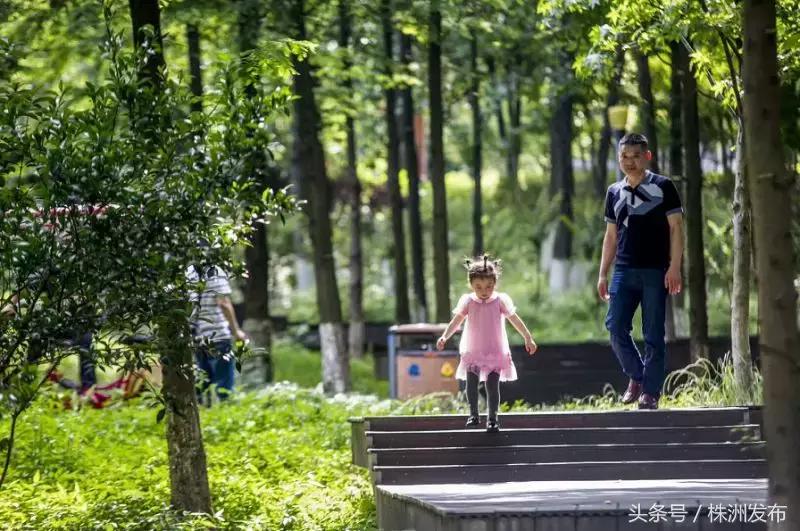 田心片区最新进展,田心片区最新消息