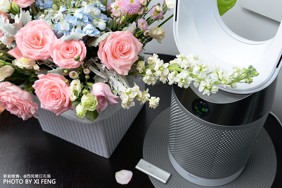 dysonpurecool空气净化风扇,戴森空气净化器purecool