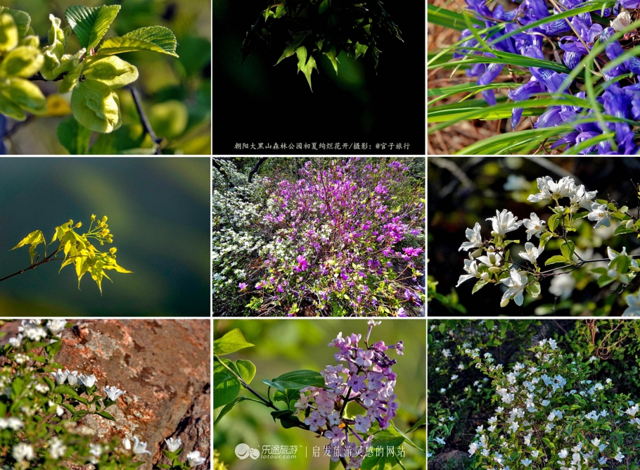 周总理关注的“辽西绿岛”已是天然氧吧